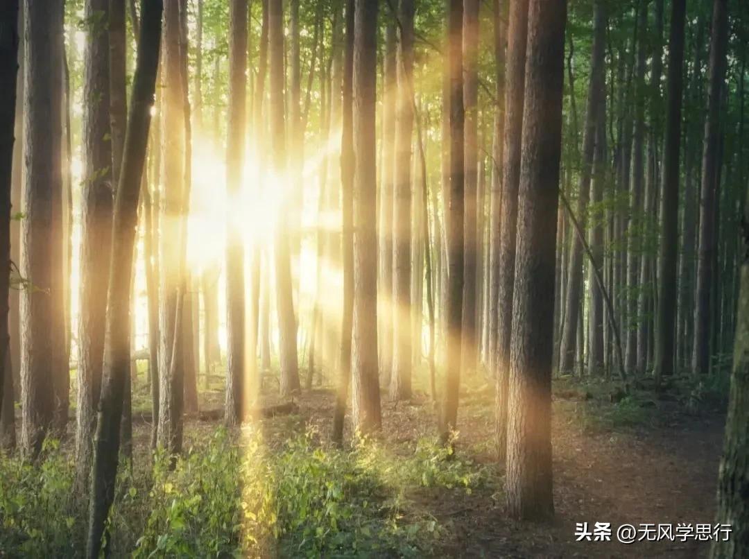 大学之道,大学之道全文朗诵