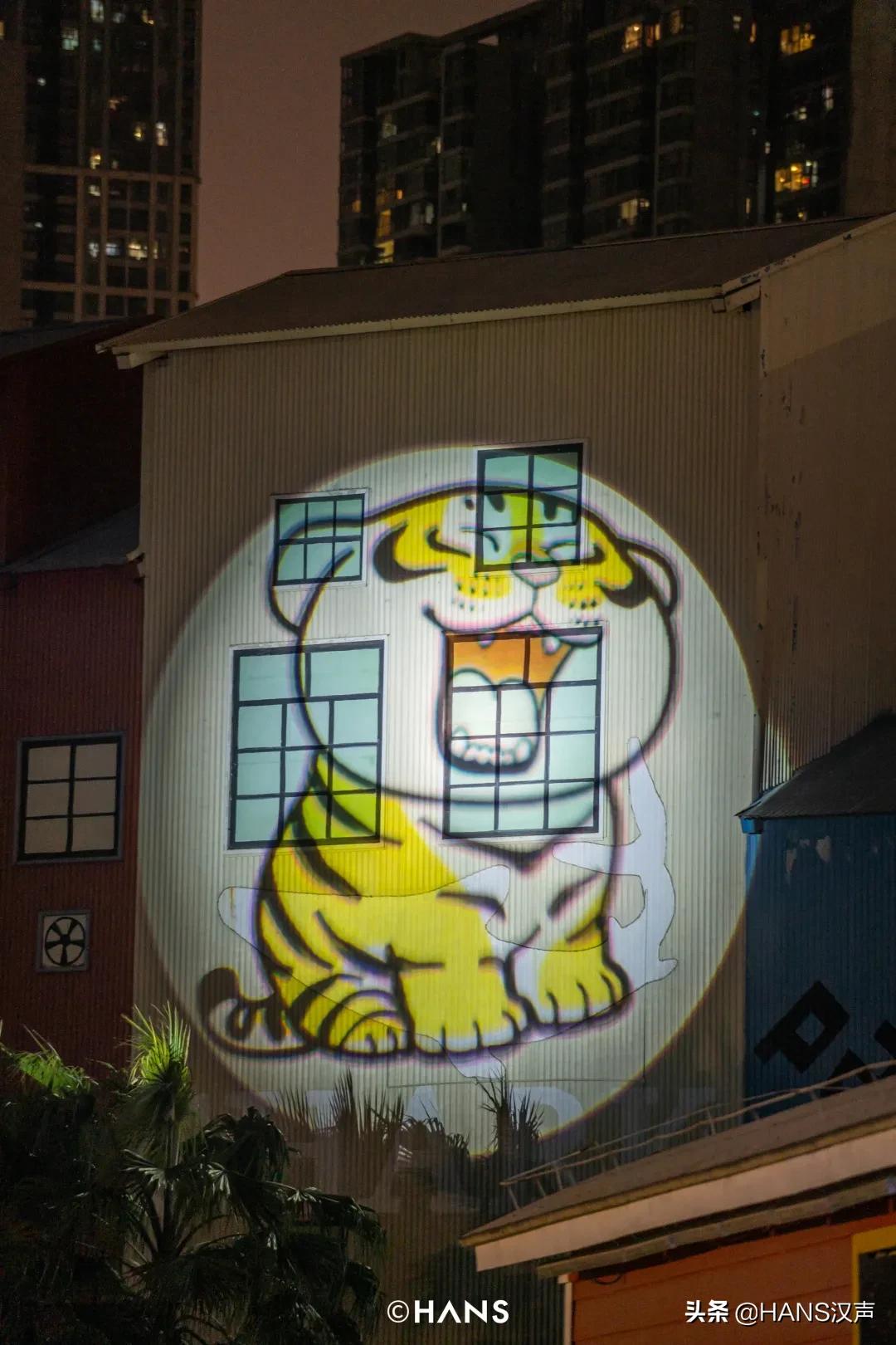 请注意！胖虎出没武汉街头