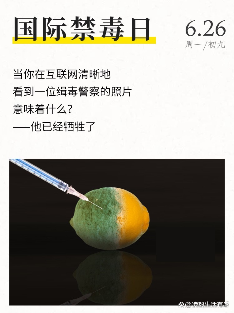 国际禁毒日为什么在6月26日,6月26日禁毒日学校活动