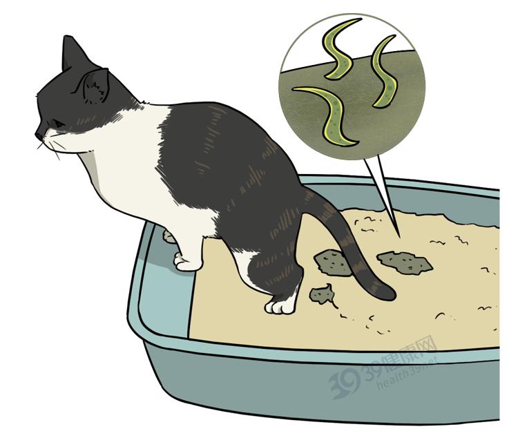 福寿螺和田螺的测试,如何区分福寿螺和田螺的区别