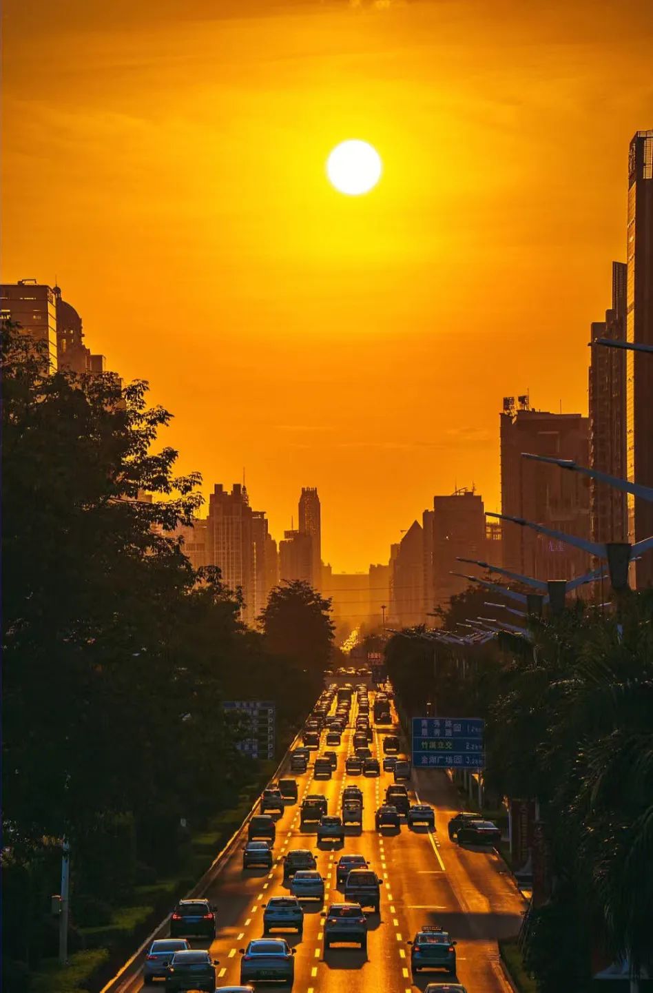 回到早睡早起的日子,回老家朝九晚五