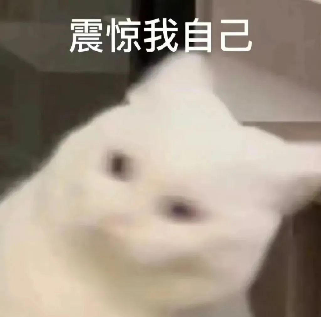 暴雪与网易分手影响哪些游戏,暴雪和网易分手后去哪玩