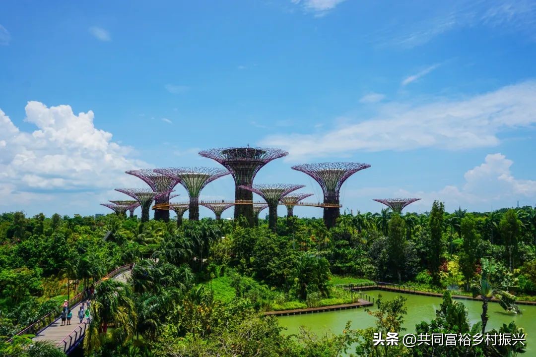 以数字经济助力乡村产业振兴案例,基层党建引领乡村振兴主要案例