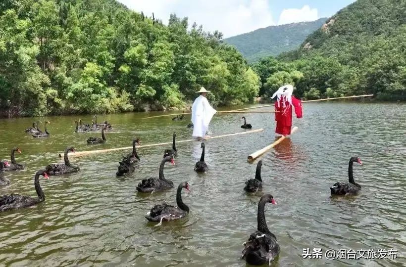 粽情端午季,粽情端午玩转假期