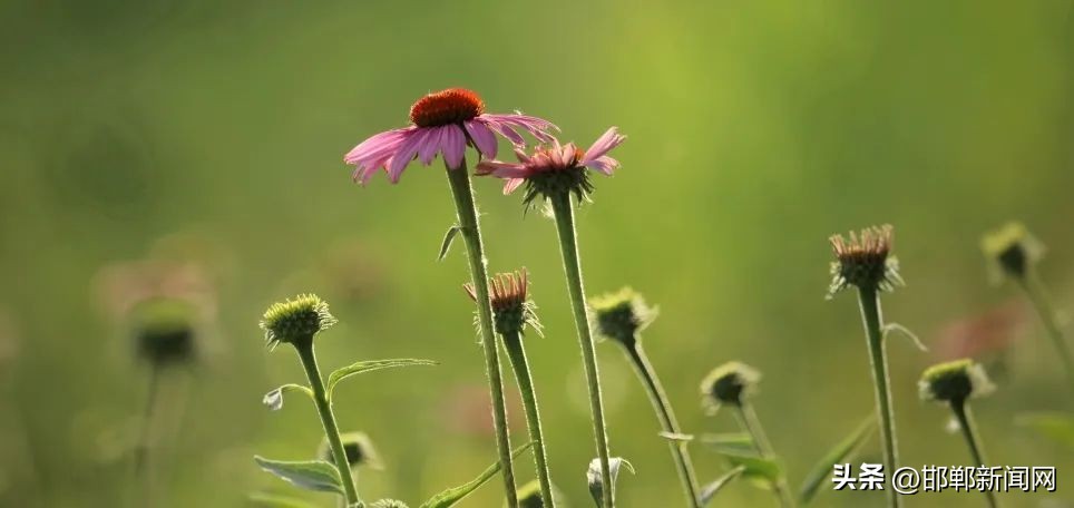 峰峰网红打卡地,寓教于玩幼儿园