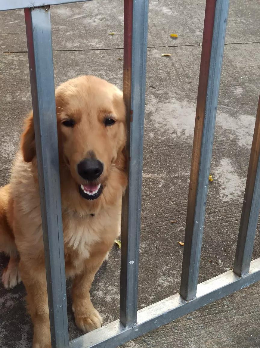 白云山适合徒步吗,一路徒步上白云山