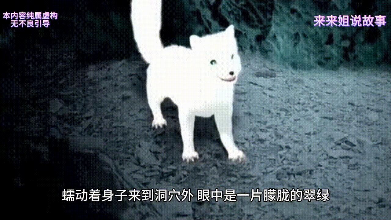 蛇和女生故事,蛇与女孩真实的故事