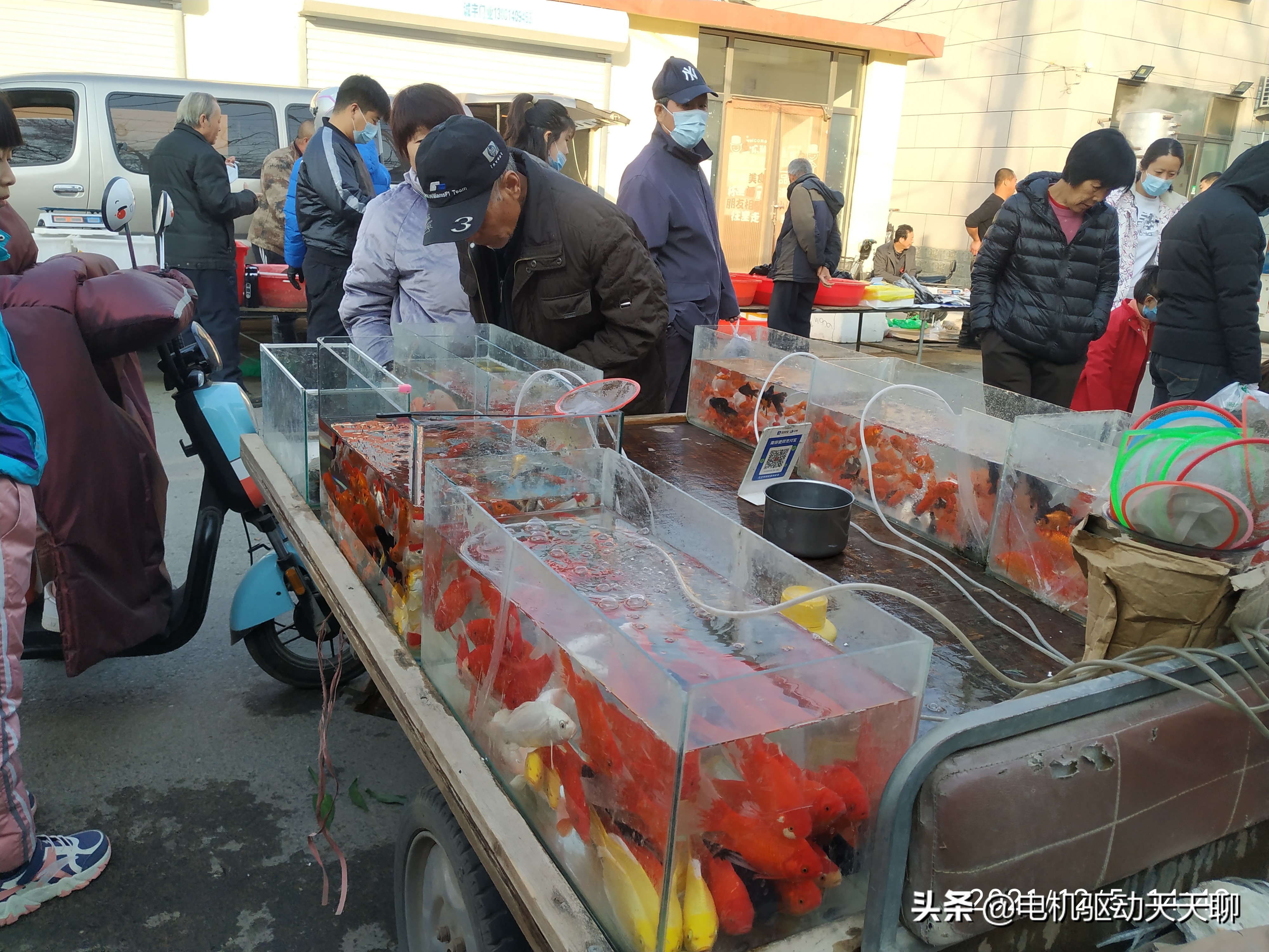 北京房山周末赶乡村集市,房山农村大集哪里好玩