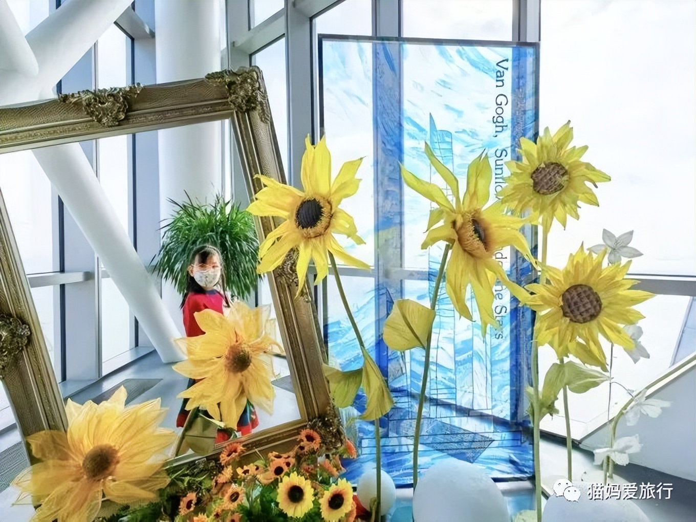 青岛过年遛娃好去处,青岛遛娃圣地