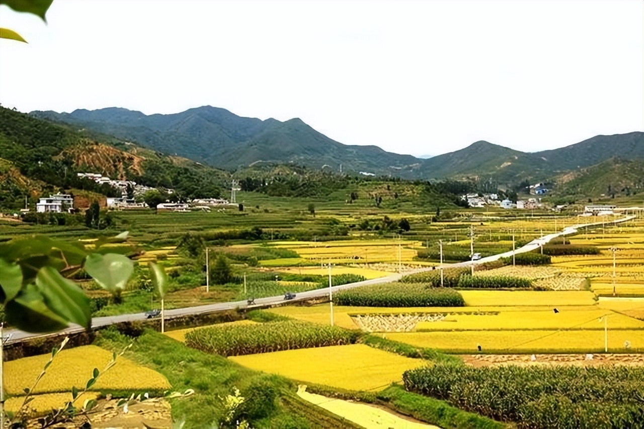 博士11天捐精5次猝死，家属要求400万赔偿，责任谁来承担？