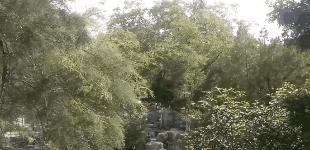 中国10座连一个山都没有的地级市，最高海拔不到80米，有你家乡吗