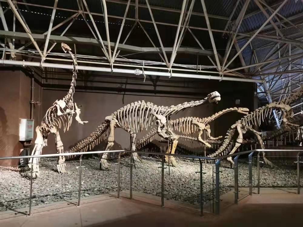 「共舞长江经济带」恐龙的五大千古之谜中，有几个人不应该被忘却