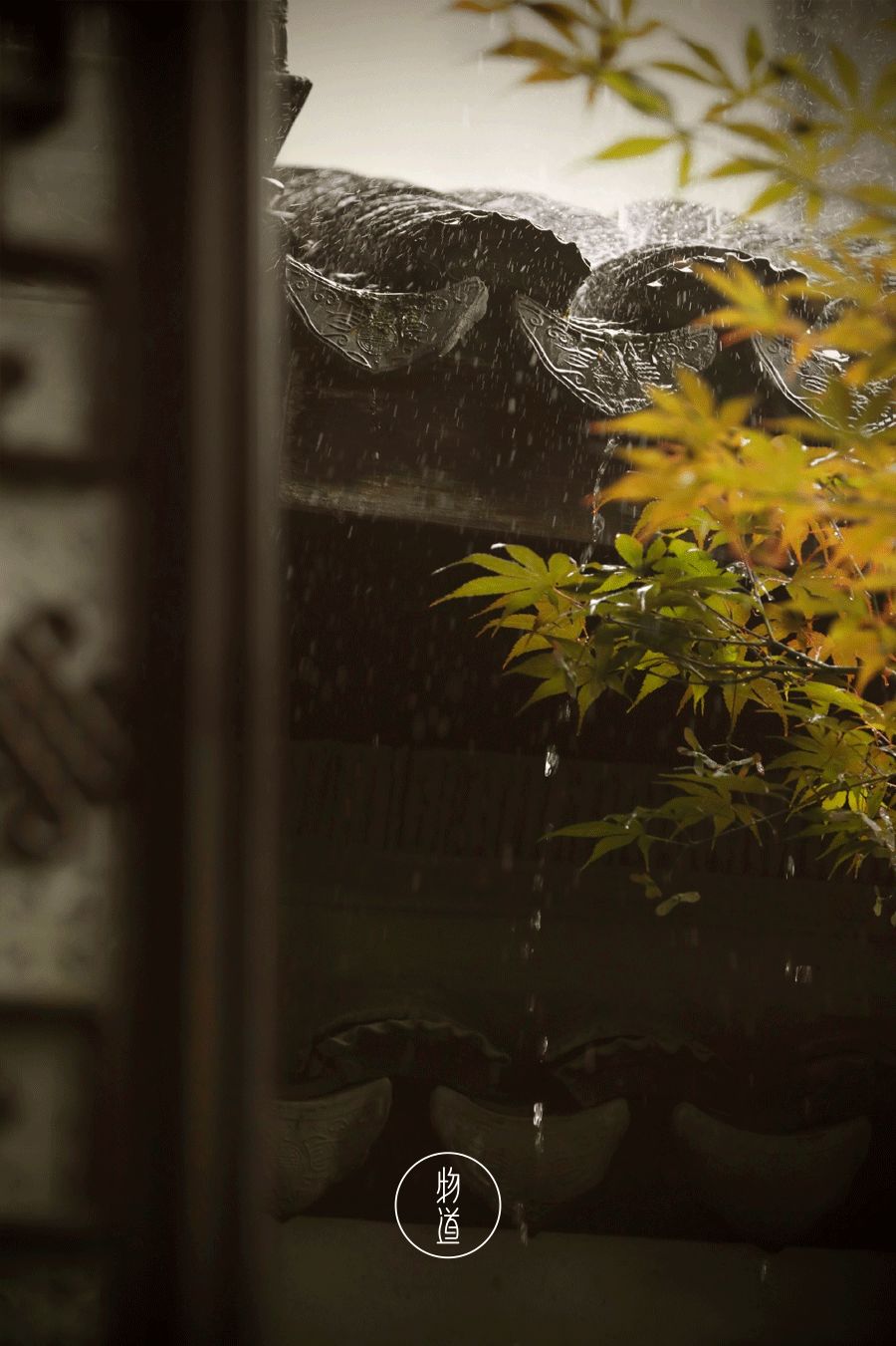 处暑的读音,处暑节气