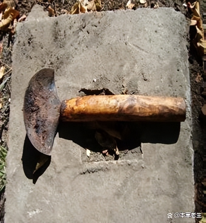 苏合香真假,苏合香哪个产地的最好