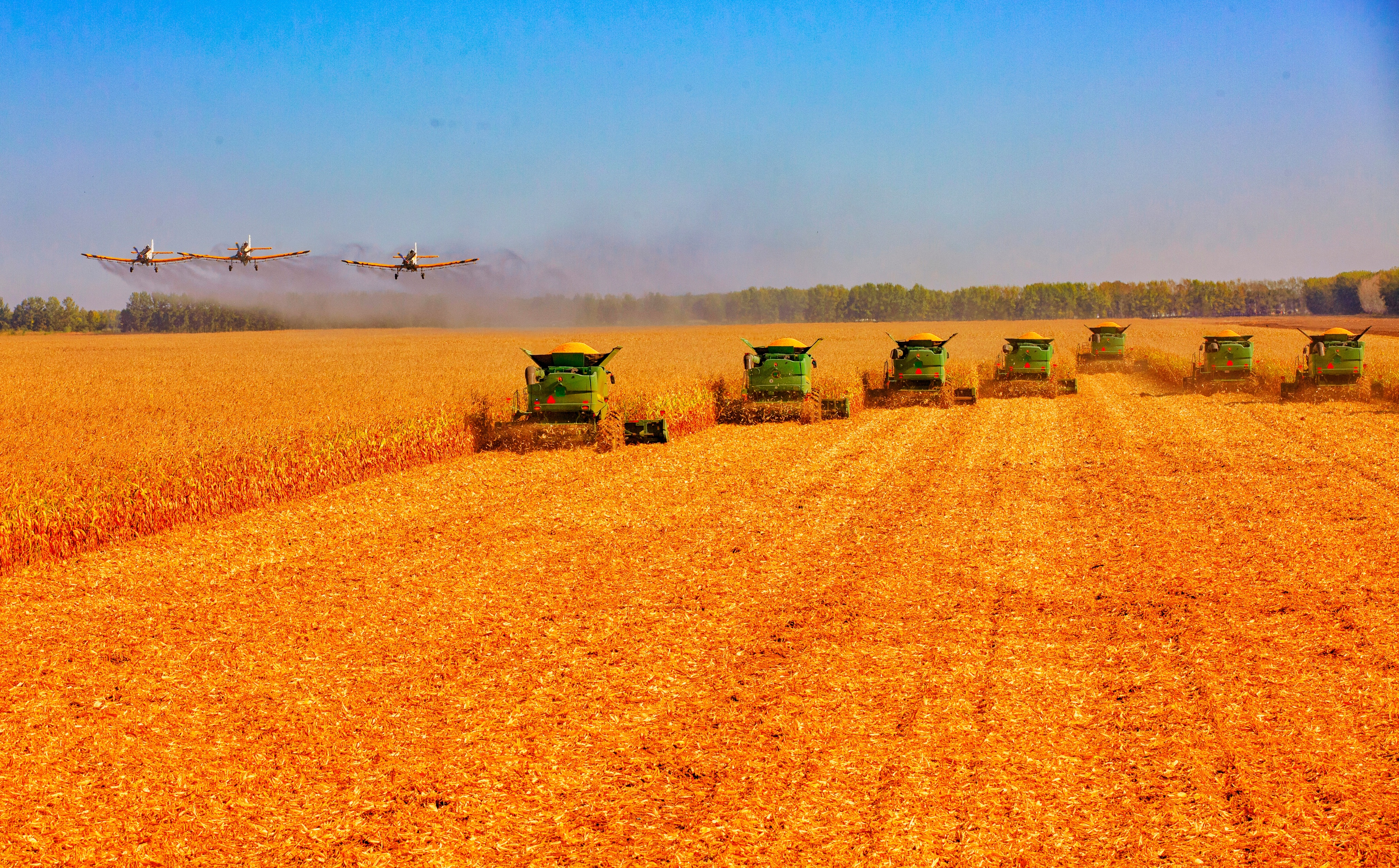 黑龙江宝清县：奋力打造东北样板绘乡村振兴壮美画卷