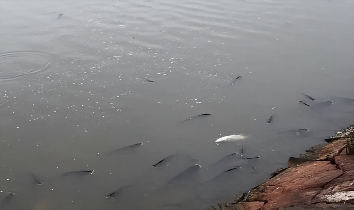 pH值过低危害,ph太低的危害