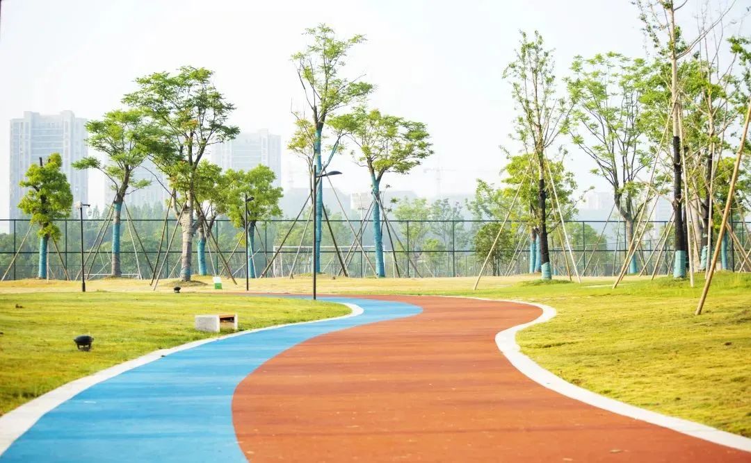 杭州临平粉黛乱子草花海地址,杭州临平30余亩粉黛花海梦幻上线