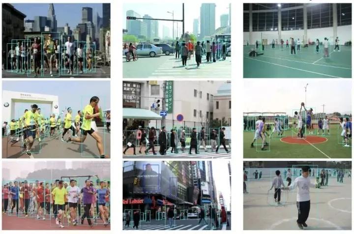 医学影像目标检测框架,开源数据集目标检测