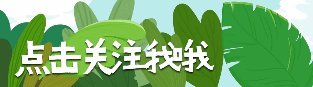 衣服上溅到油污怎么办,啫喱水加牙膏可以去除衣服油污吗