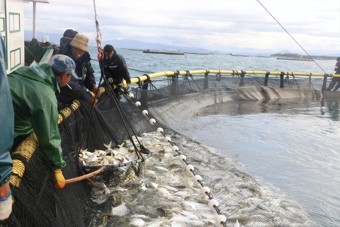 广东湛江市现在发展怎样,广东省湛江市10年能发展起来吗