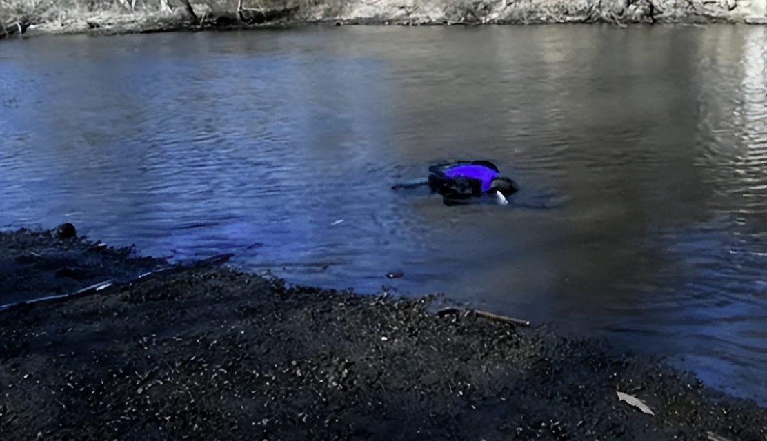 科企岛：海龟机器人，在水中和陆地上游泳