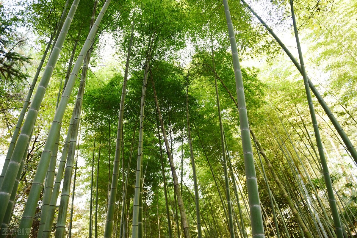 西游记里的妖魔鬼怪有多少个,西游记里的妖魔鬼怪