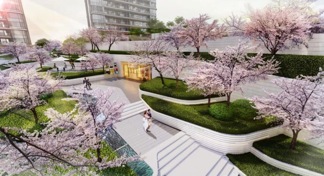 西海岸楼市高手,西海岸楼市分析第一人