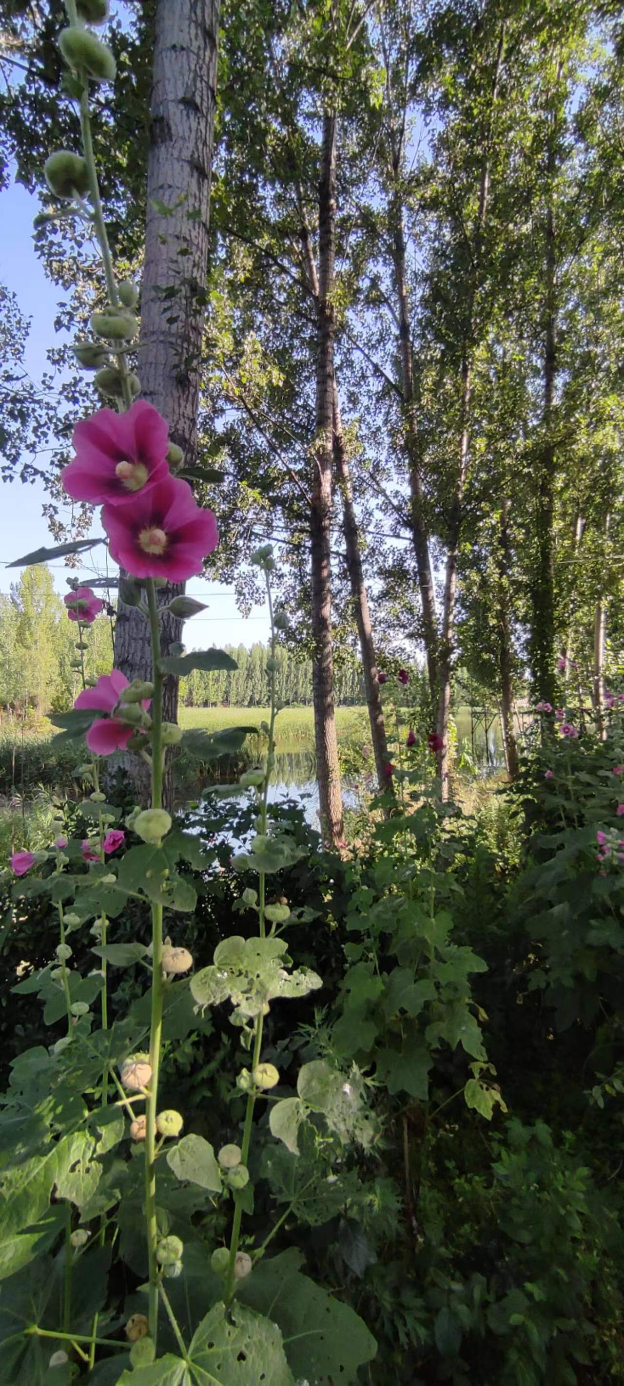 古中国考出彭蠡泽｜张笔魁