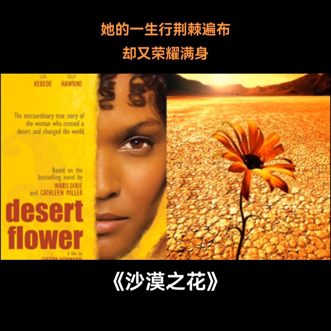 央视推荐四部励志纪录片,小学生看的励志电影纪录片