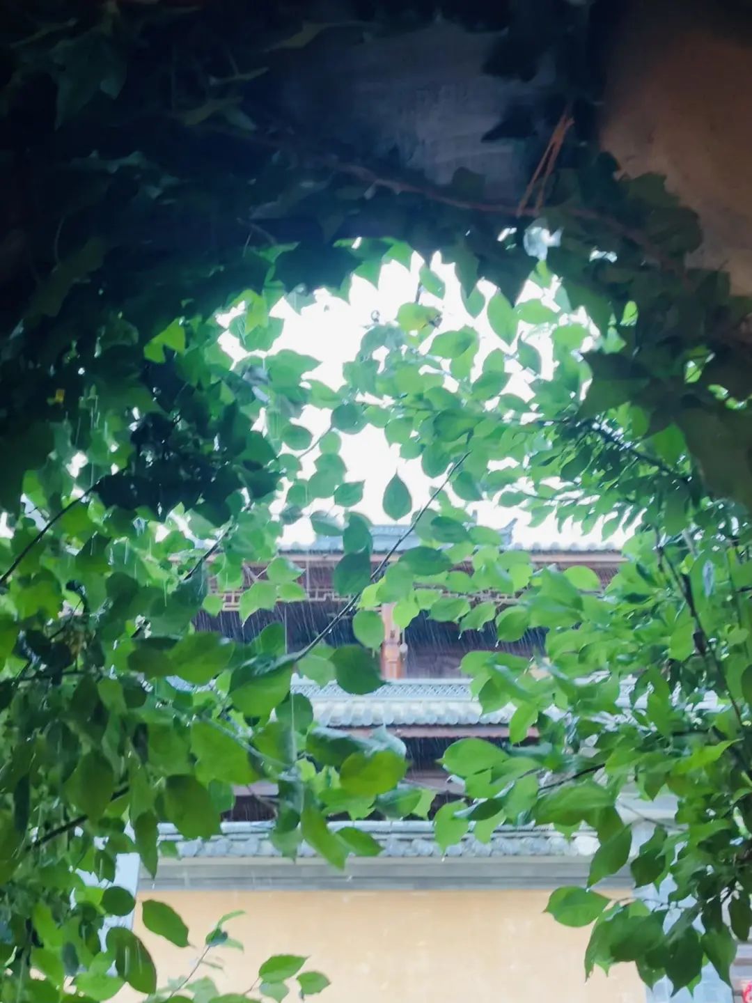 被大厂裁员后去环球影城,被大厂裁员后心态调整