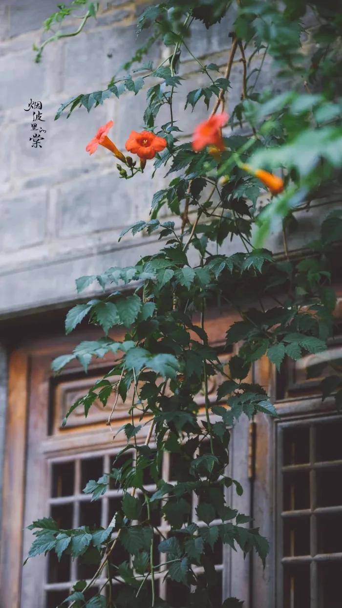 壁纸分享来点养眼的吧,励志文案壁纸超清全面屏