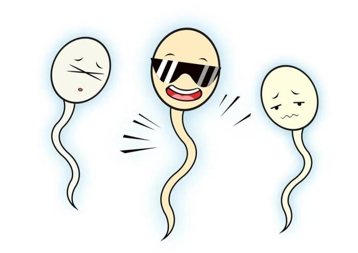 精卵相遇形成受孕卵要多久,精卵结合形成孕囊需要多久