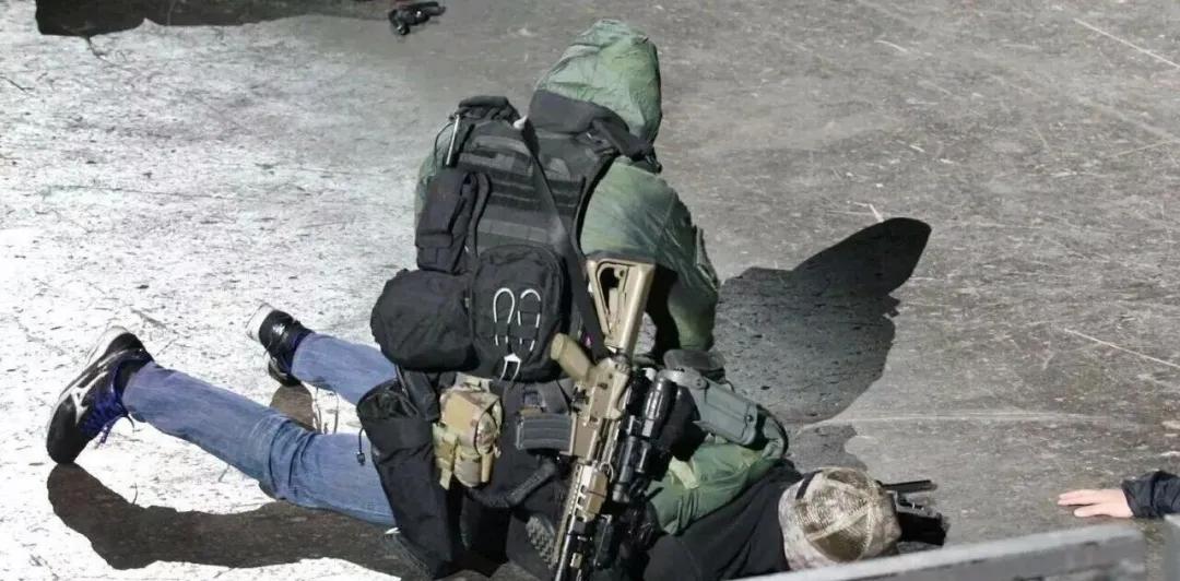 虎年说虎科普视频,虎年说虎运用了哪些说明方法