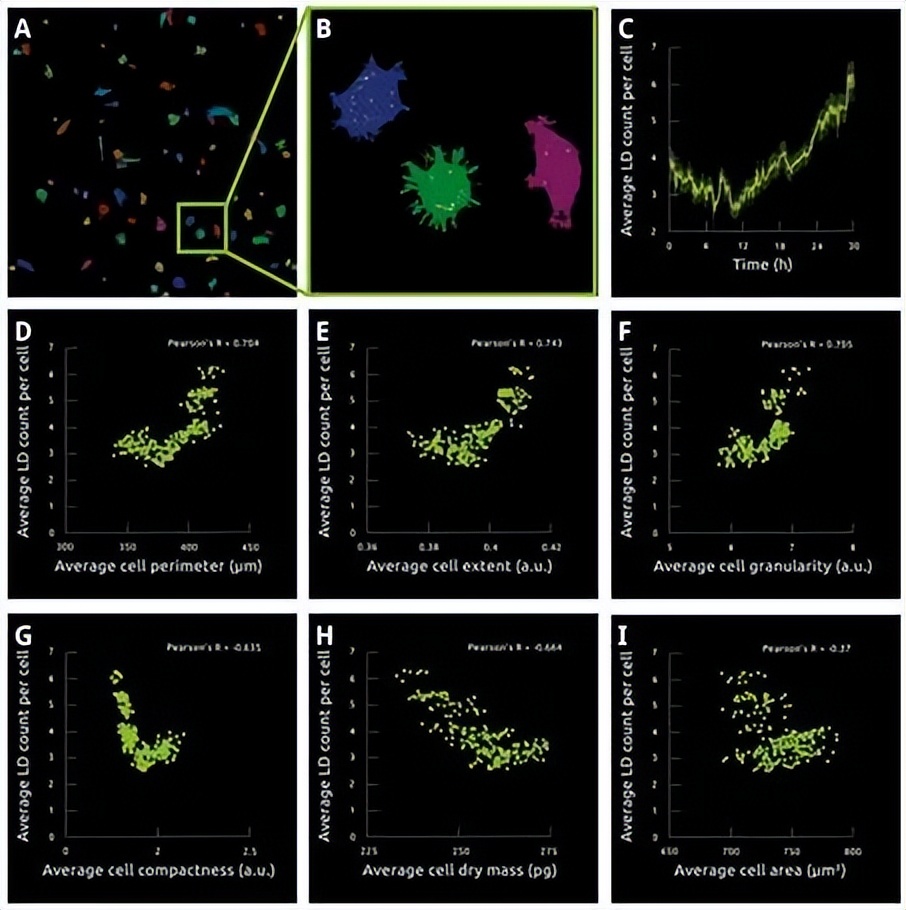 昆明纳瑞丨「Nanolive」在群体水平上描述单个细胞的特征