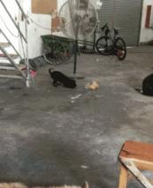 2022年股票搞笑总结,2021年上半年a股涨幅排行榜