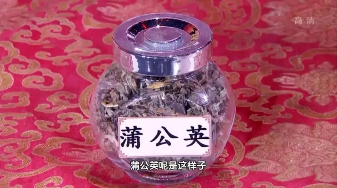 药草皇后蒲公英泡水竟然能抗癌,蒲公英十大功效