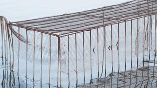 鑻旈潚褰卞儚鎽勫奖浣滃搧,鑻旈潚褰卞儚浜戝彴