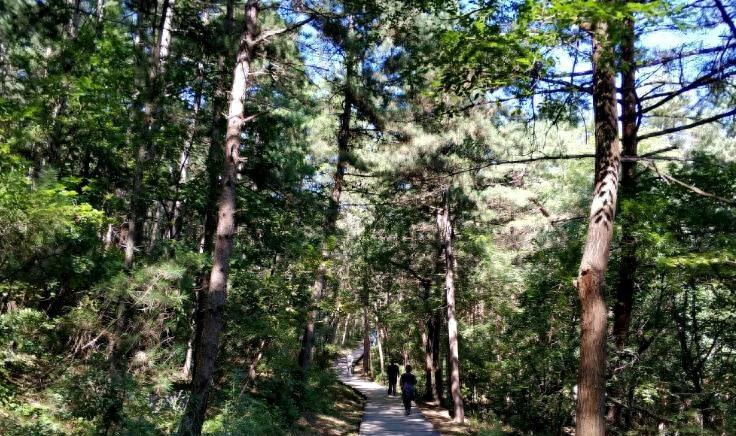 63岁大爷爬山,63岁大爷邀请56岁大妈爬山