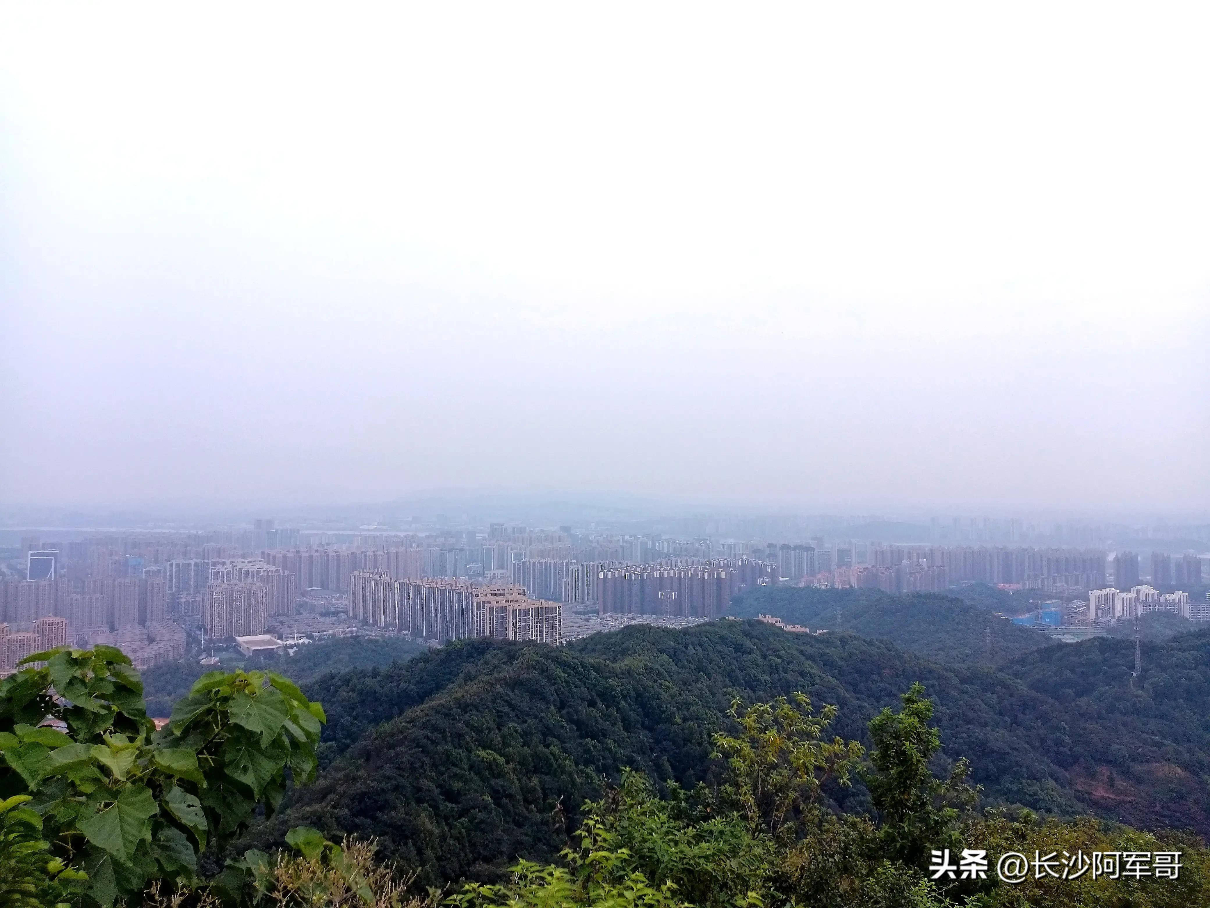 那雾山森林公园一日游,谷山森林公园攻略亲子