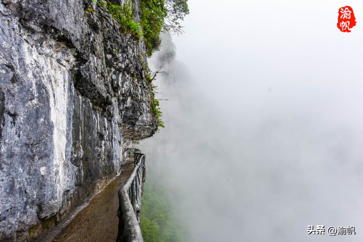 重庆的热门风景好的山,重庆哪座山最适合看城区风景