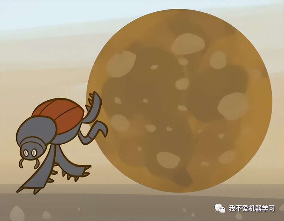 蜣螂优化算法是哪年提出来的,蜣螂用法与用量