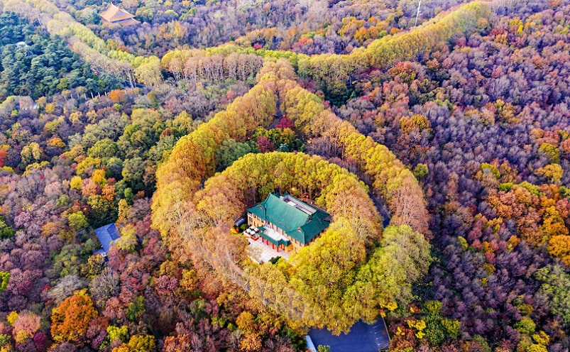 南京必玩十大经典景点排名,南京十大必游景点推荐排名