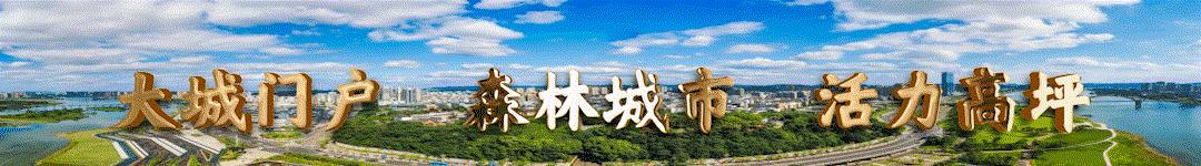 登顶热搜,登上热搜头条