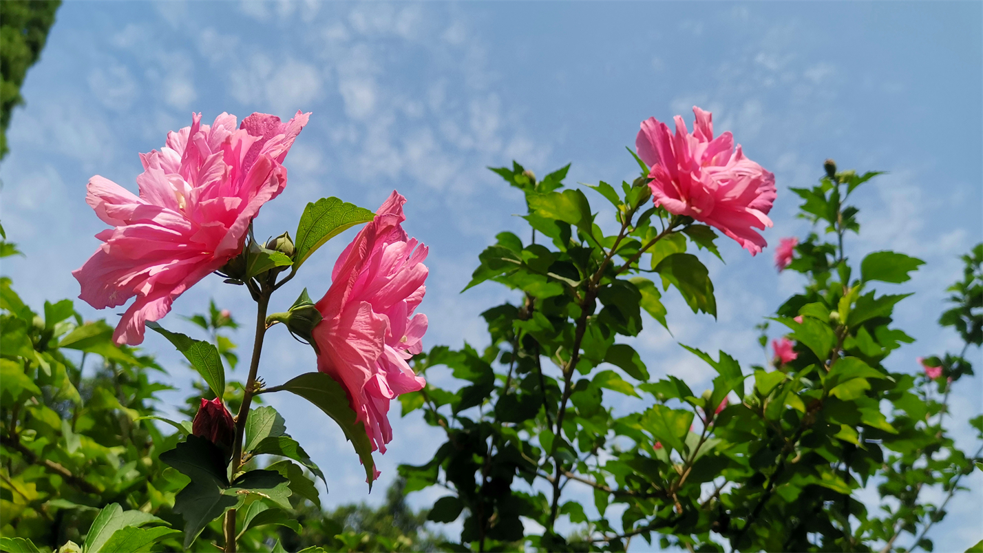 往事如风一切如梦,往事如风人生如梦岁月如歌