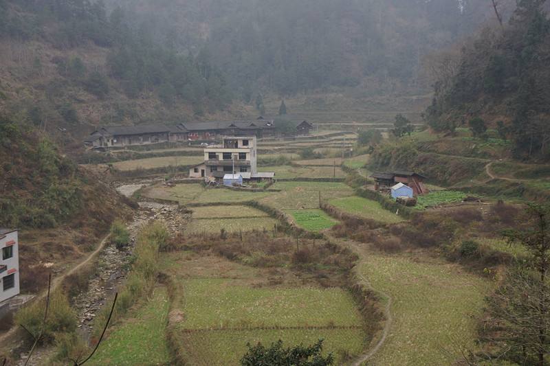 31年前,她因一双“大眼睛”震撼全国,安徽女孩苏明娟现状如何?