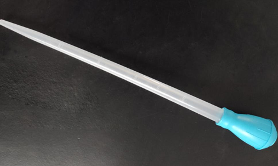 孔雀鱼的幼鱼饲养方法视频,如何饲养热带鱼孔雀鱼幼鱼