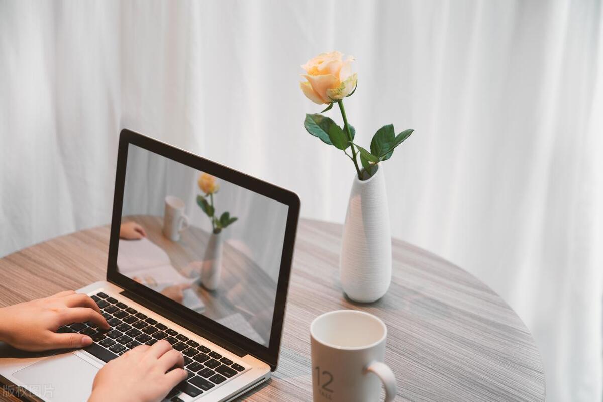 写网文小说需要了解和掌握的知识,网文新手写什么类型小说好