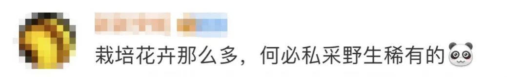 再次购买提示不能购买了,下次不要买这么多东西怎么回复