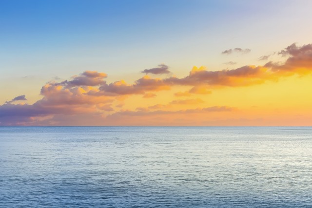 谋生赚钱和养生的能力,人生要先学会挣钱再学会养生