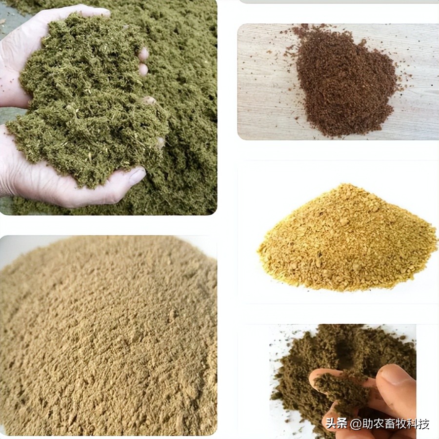 养猪吃饲料和发酵饲料哪种更好,怎样制作养猪发酵饲料